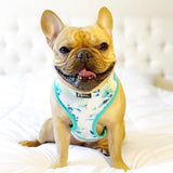 Classic Dog Harness - Sweet & Simple (Blue Paw Co. - FINAL SALE)