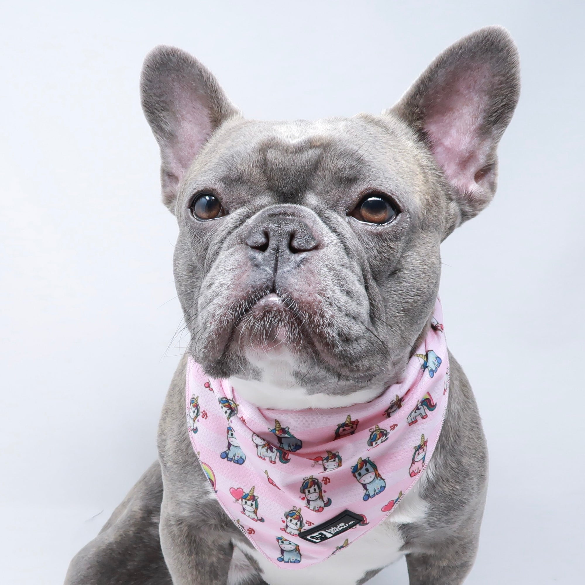 Cooling Dog Bandana - Hearts & Horns (Blue Paw Co. - FINAL SALE)