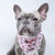 Cooling Dog Bandana - Hearts & Horns (Blue Paw Co. - FINAL SALE)