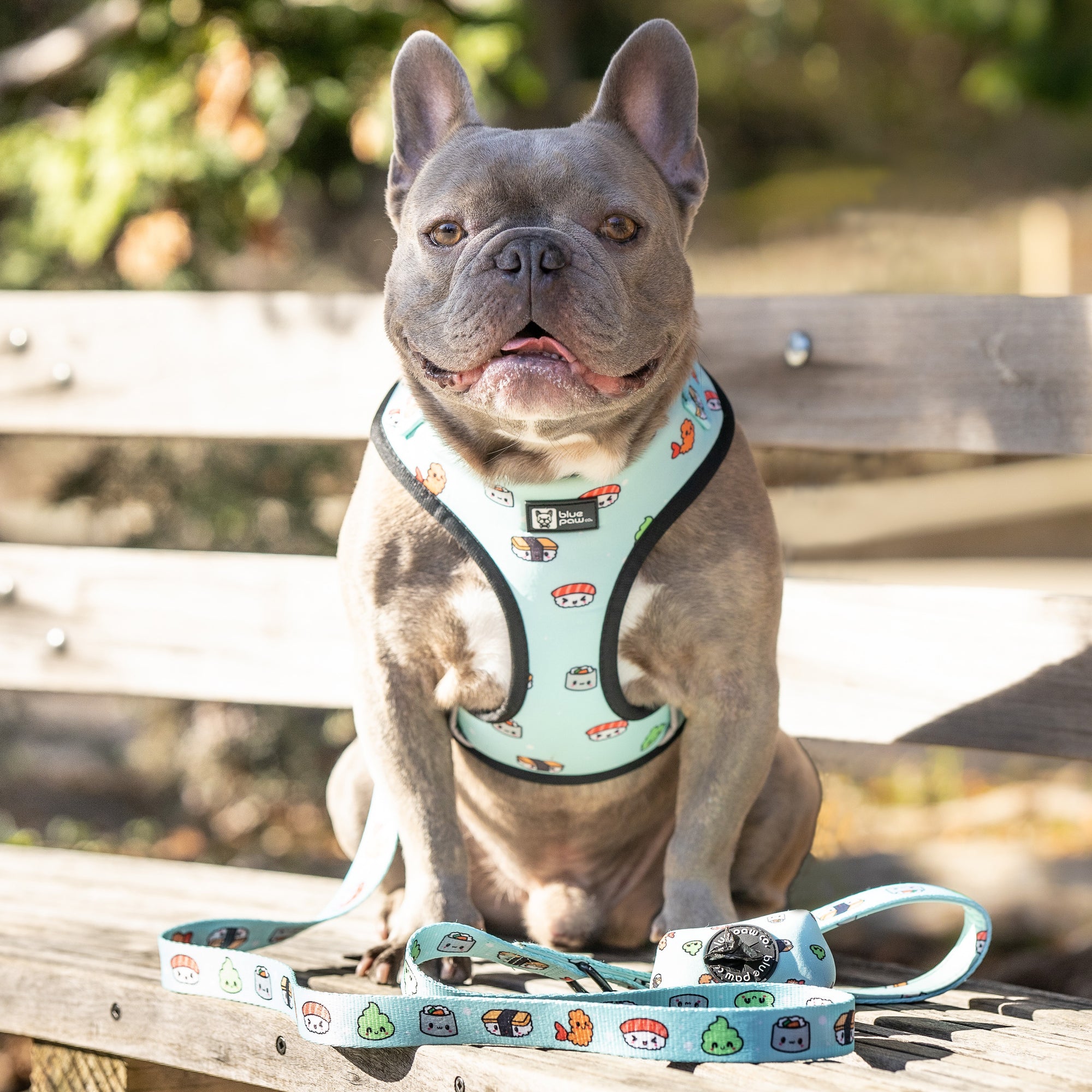 Adjustable Dog Harness - Sushi (Blue Paw Co. - FINAL SALE)