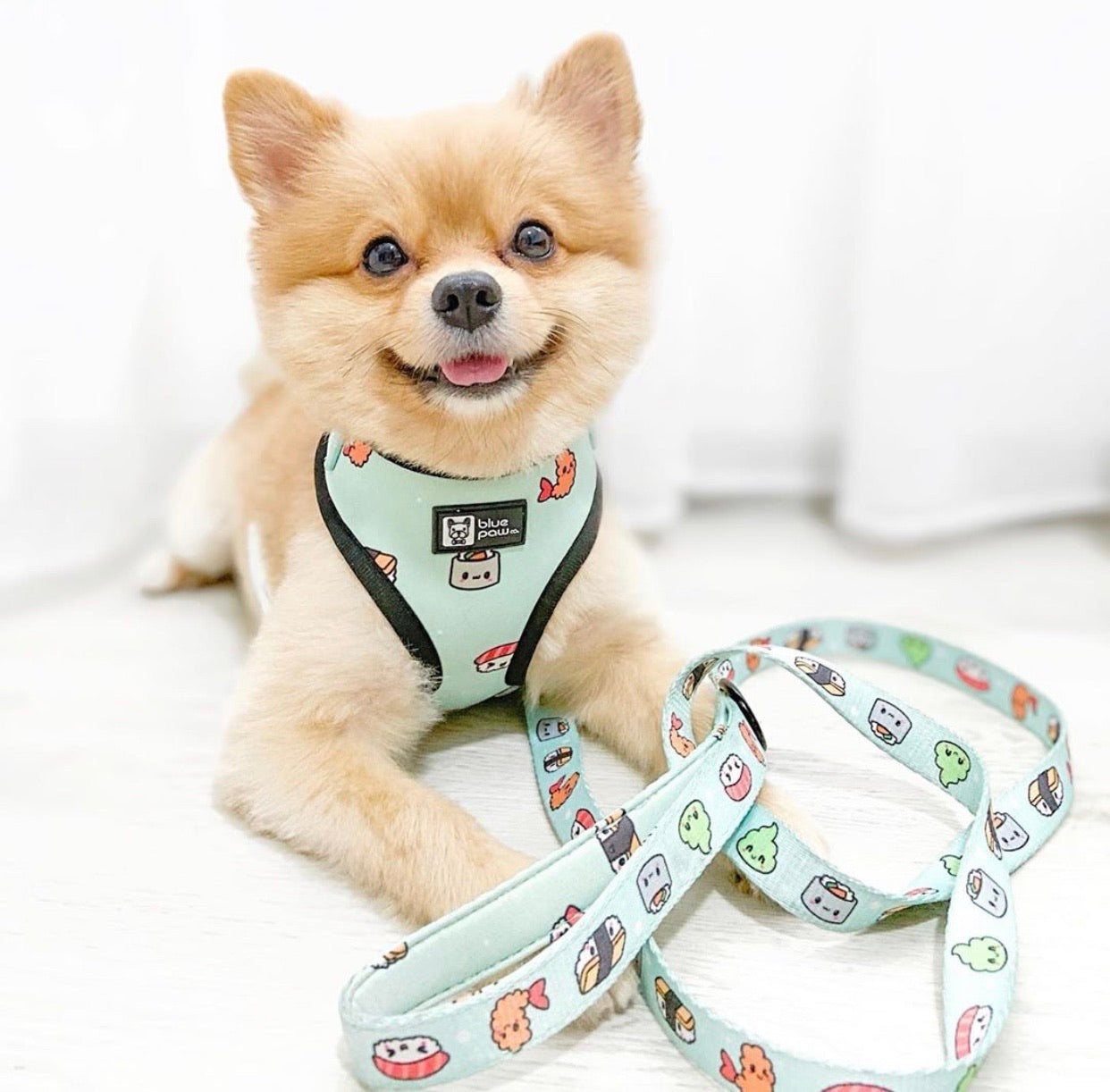 Adjustable Dog Harness - Sushi (Blue Paw Co. - FINAL SALE)