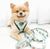 Adjustable Dog Harness - Sushi (Blue Paw Co. - FINAL SALE)