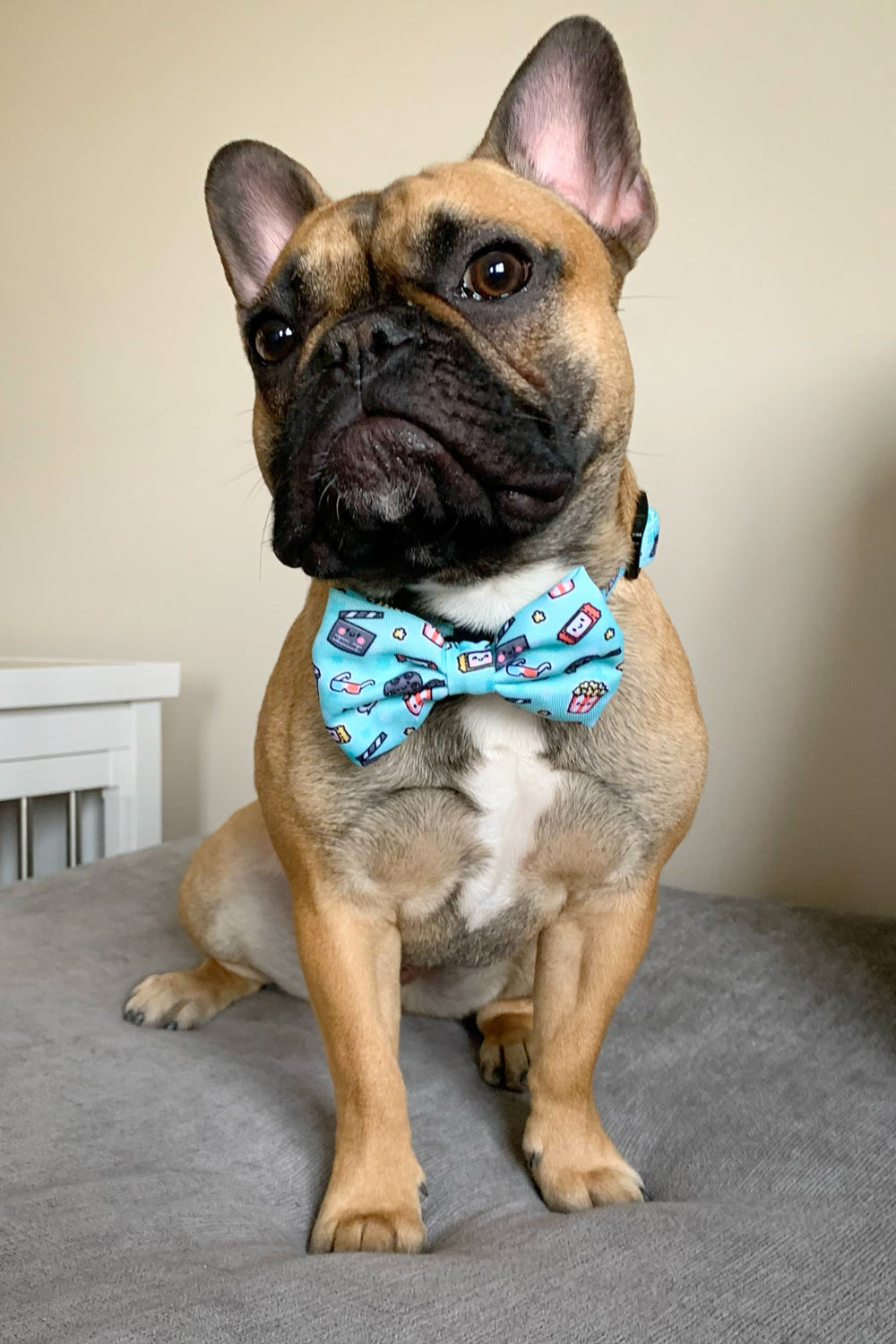 Dog Bow Tie - Pupflix (Final Sale)