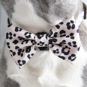 Dog Bow Tie - Leopard (Final Sale)