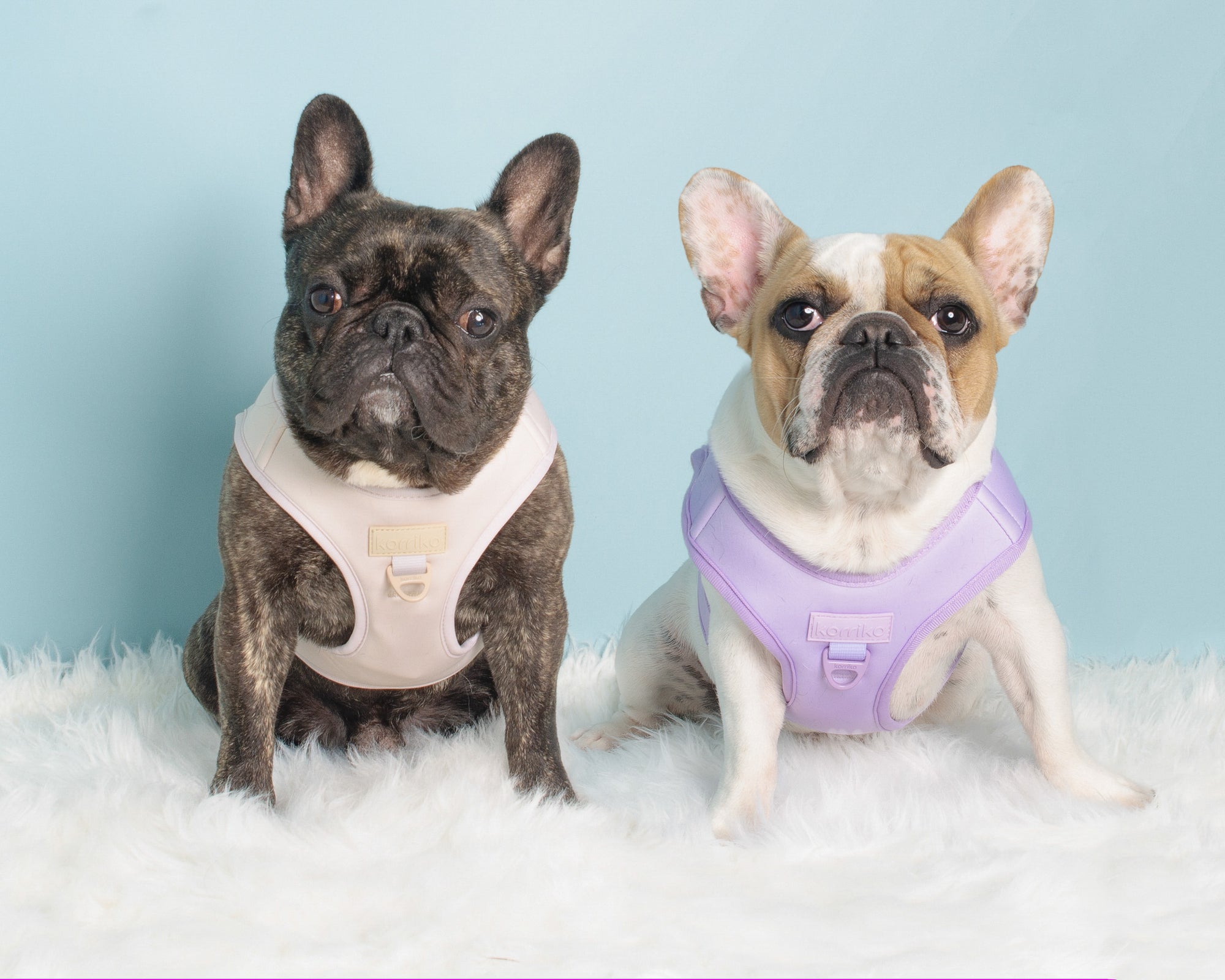 Step-In Dog Harness - Lilac