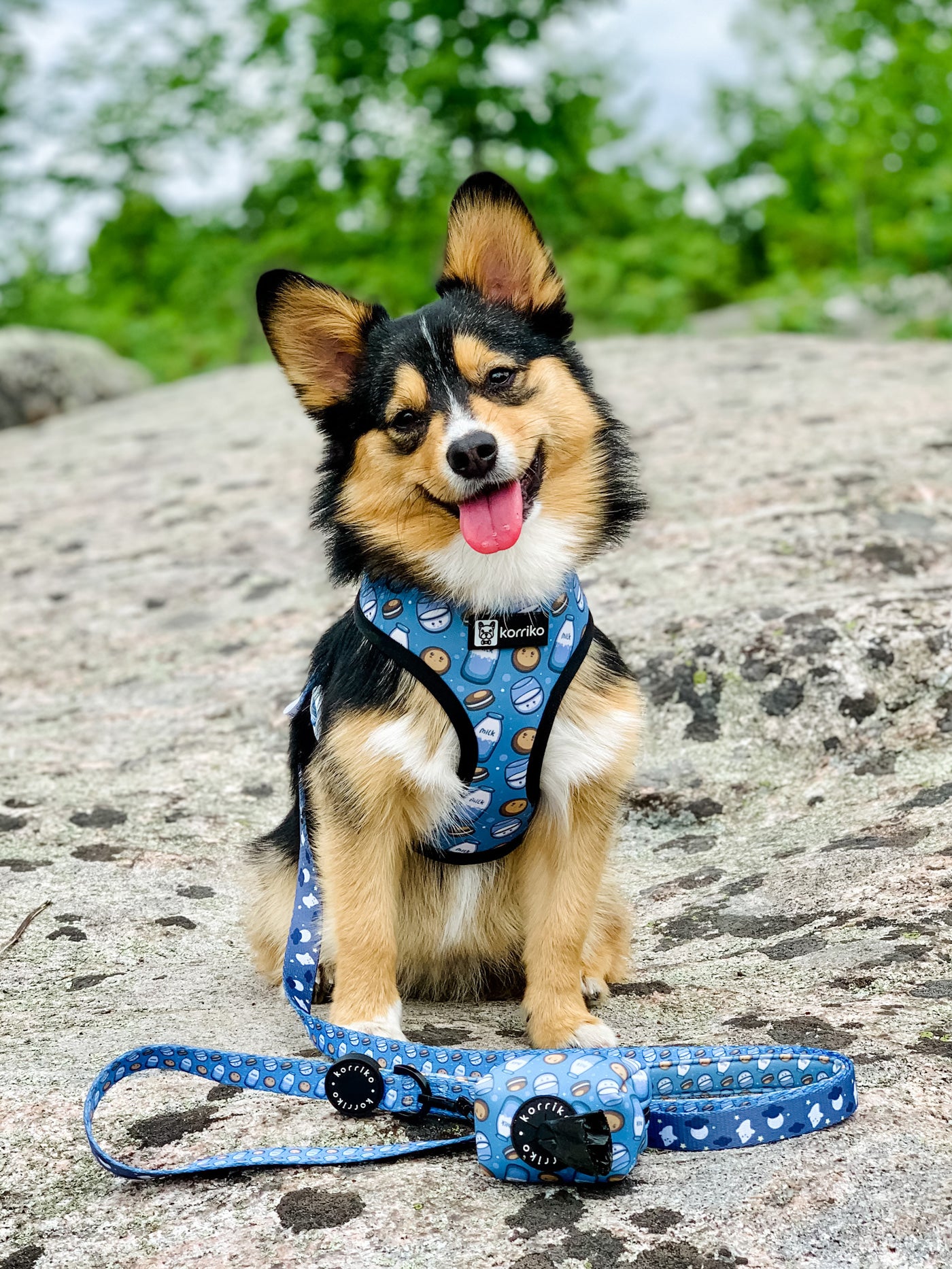 Reversible Dog Harness - Milky Way (Final Sale)