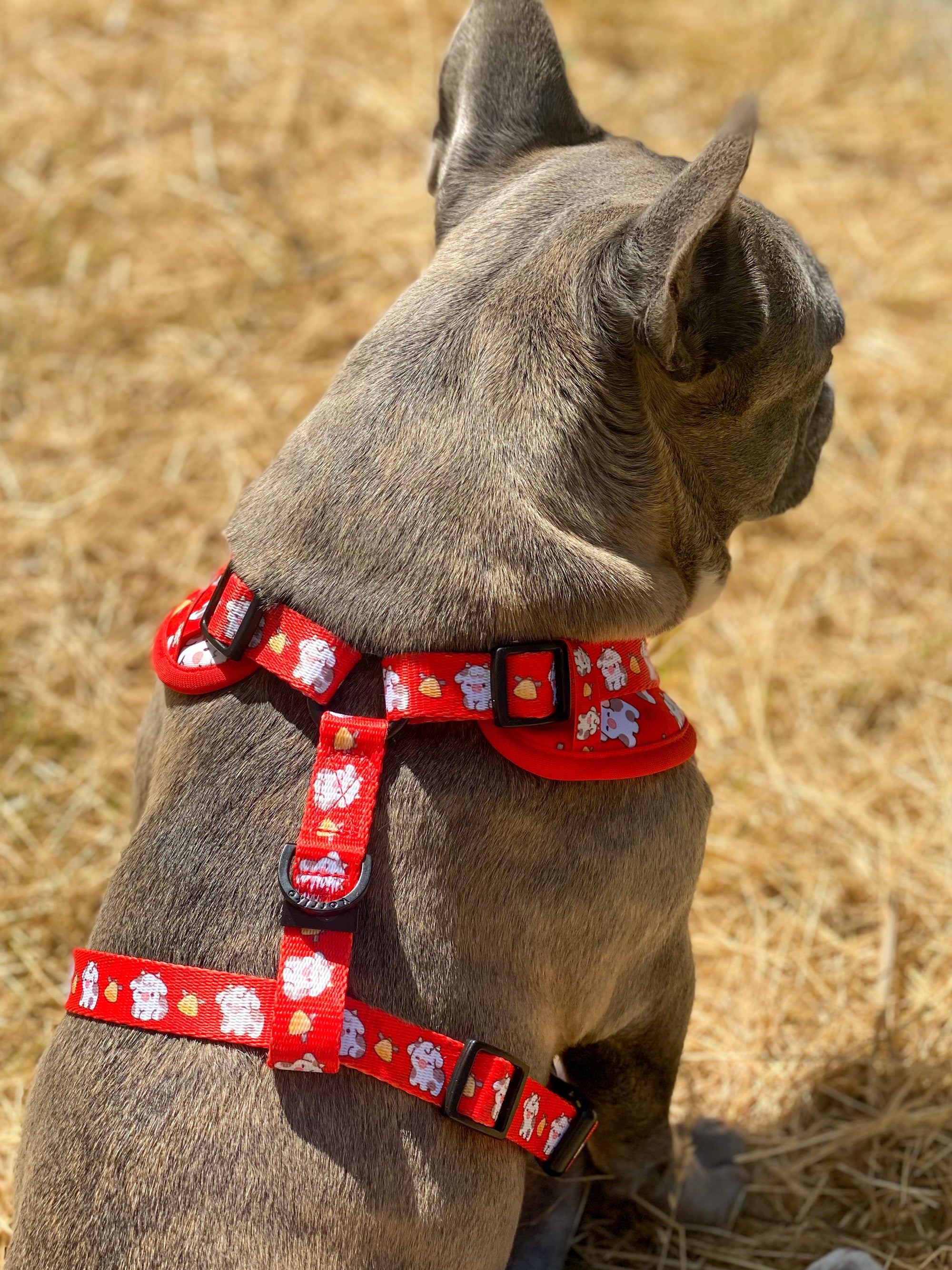 Adjustable Dog Harness - Moo Moo