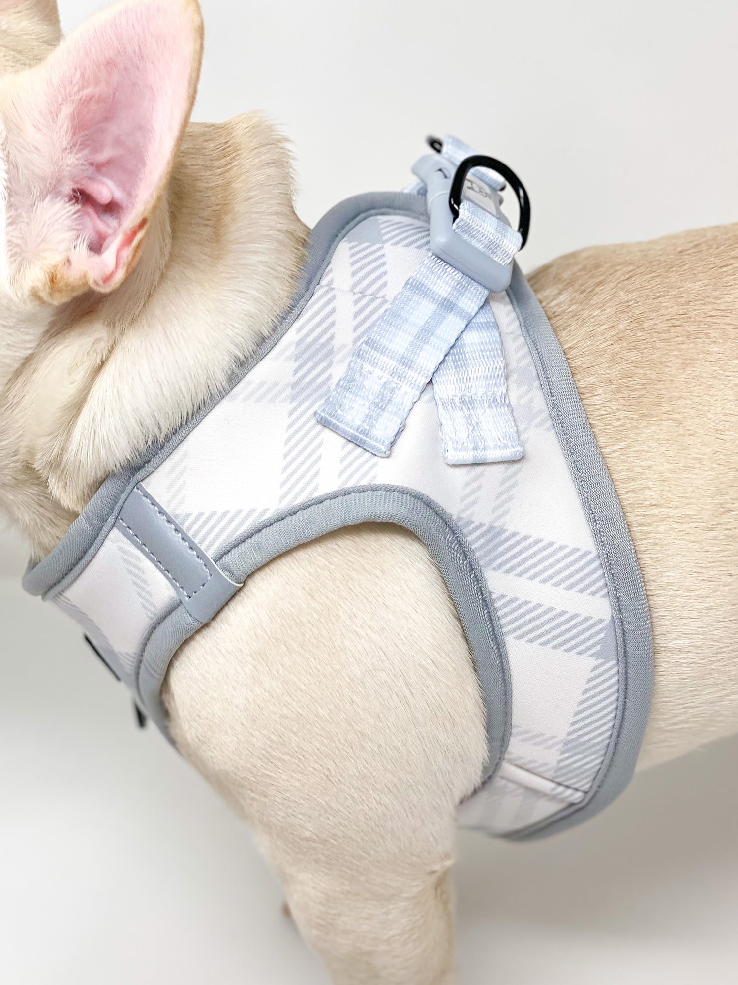 Ultimate Step-In Harness Bundle Set - Park City Plaid (6-Piece) (Final Sale)