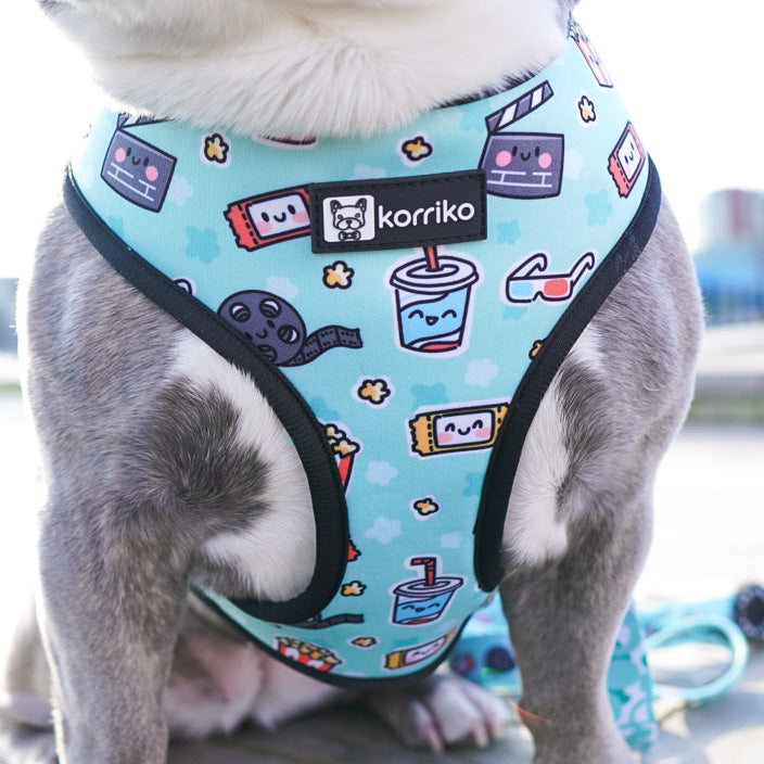 Reversible Dog Harness - Pupflix (Final Sale)