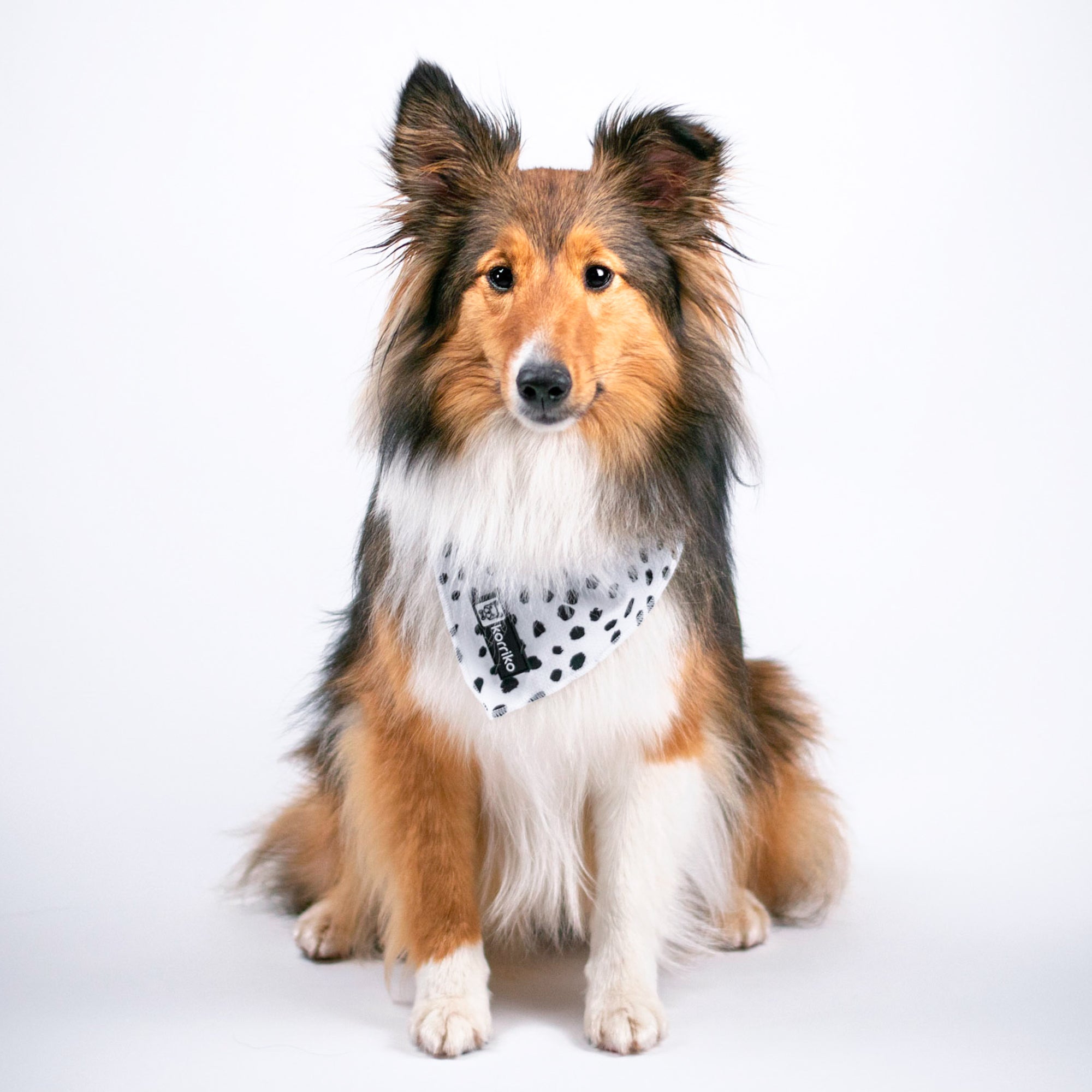 Cooling Dog Bandana - Spotted (Final Sale)