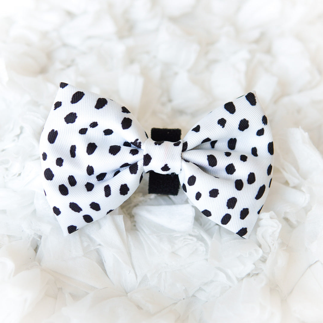 Dog Bow Tie - Spotted (Final Sale)