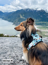 Essential Exploration No-Pull Harness Walk Set - Sushi (3-Piece)