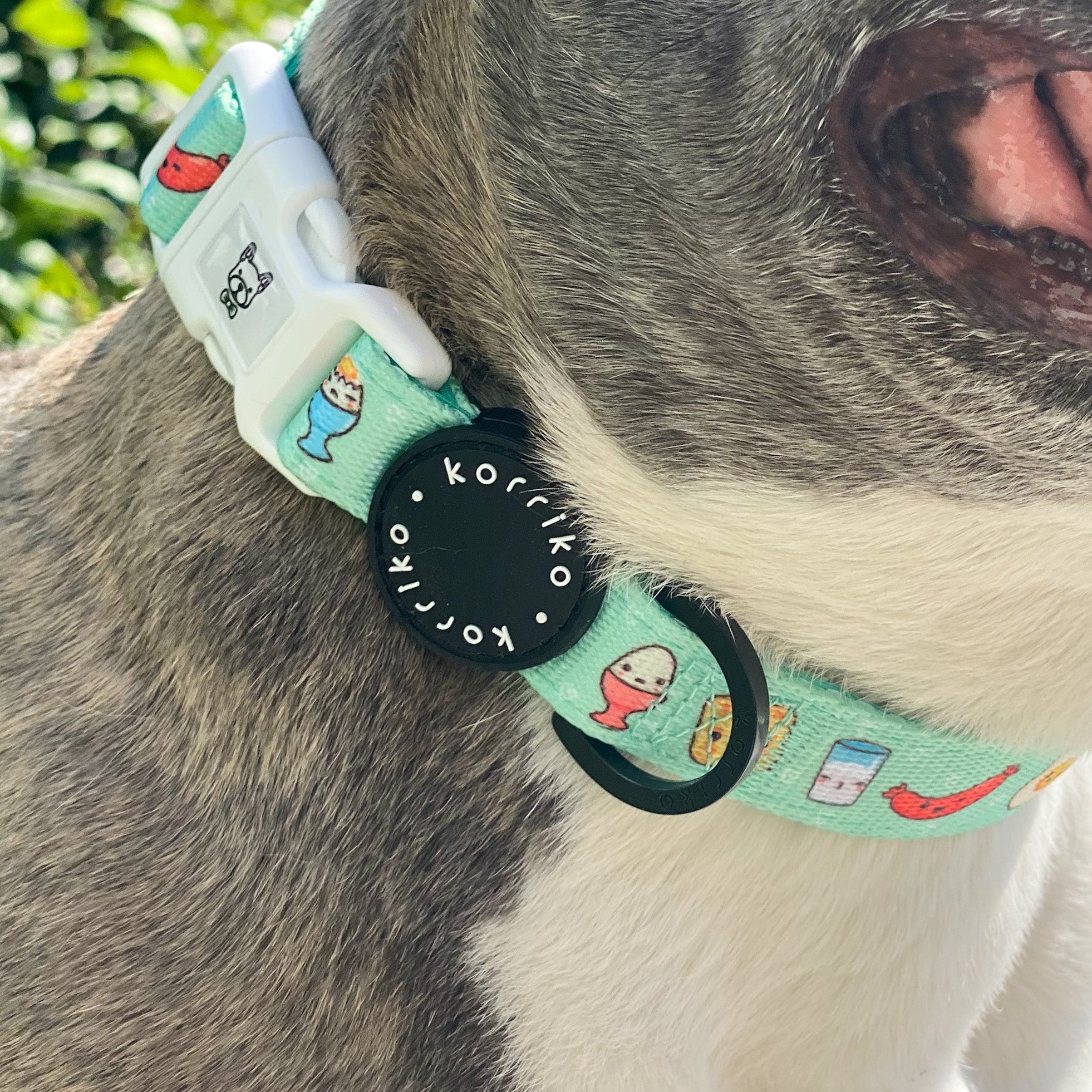 Dog Collar - Thanks A Brunch (Final Sale)