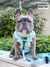 Adjustable Dog Harness - Dream Team